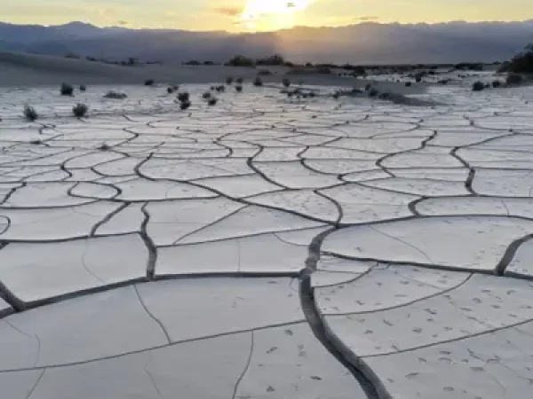 43240560-1744504872256-e51db3d9be978