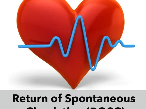 Heart-ROSC